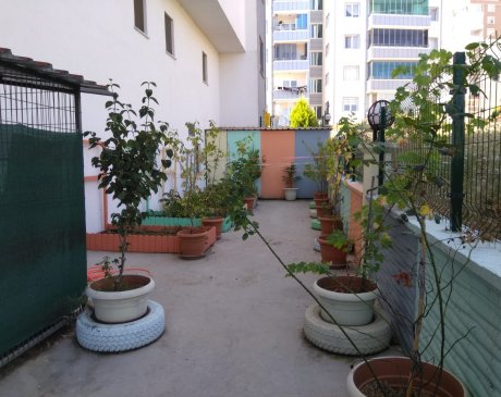 Bahçe